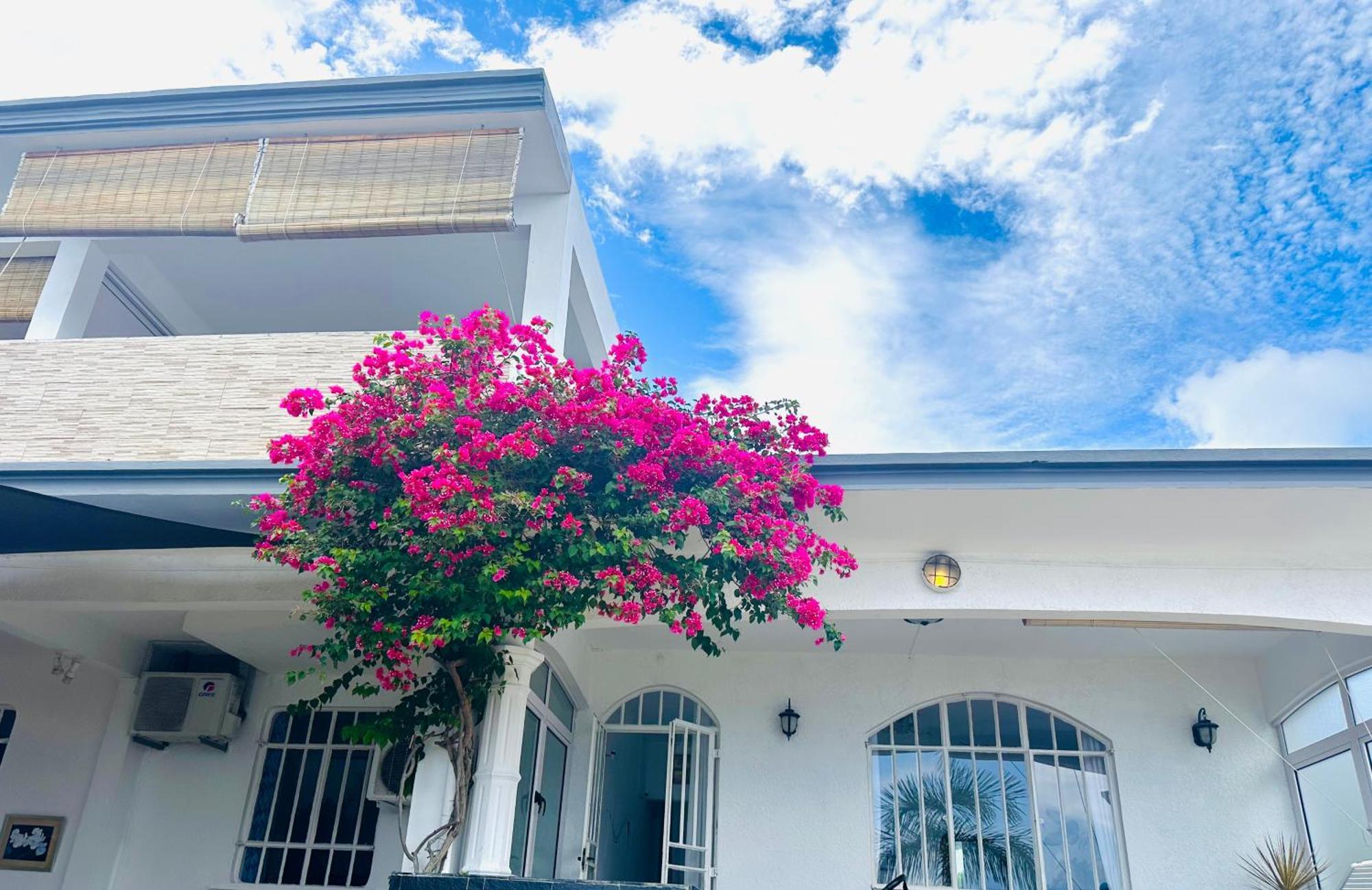 Hotel Lavender Le Morne Exteriér fotografie